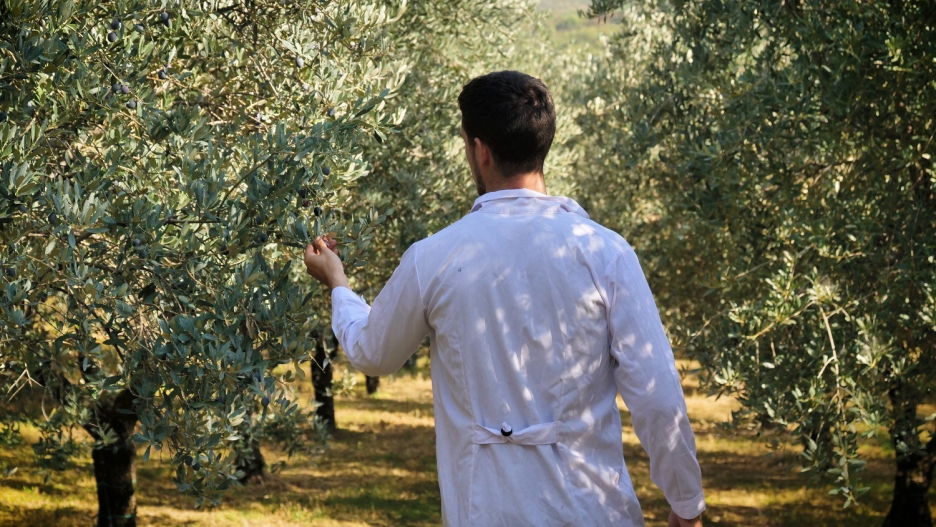 El Ministerio de Agricultura, a través del FEGA, abonó 3.665 millones de euros en ayudas directas de la PAC 2024 hasta el 31 de diciembre