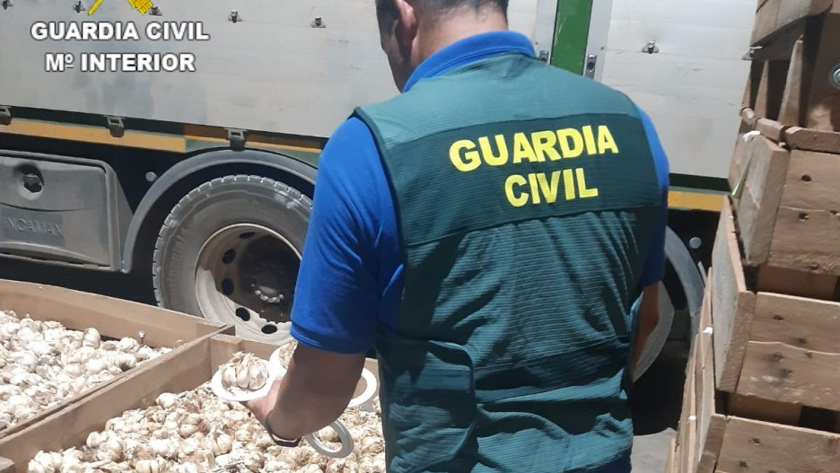 La Guardia Civil investiga una estafa en la compra de ajos.

REMITIDA / HANDOUT por GUARDIA CIVIL
Fotografía remitida a medios de comunicación exclusivamente para ilustrar la noticia a la que hace referencia la imagen, y citando la procedencia de la imagen en la firma
05/2/2025