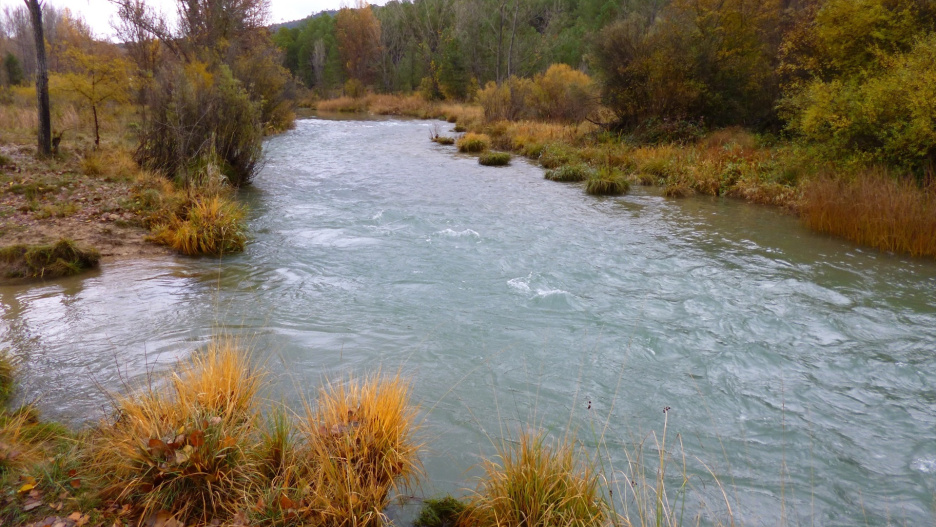 (Foto de ARCHIVO)
Río Júcar.

ASOCIACIÓN CAZA, PESCA Y TIRO
19/3/2019