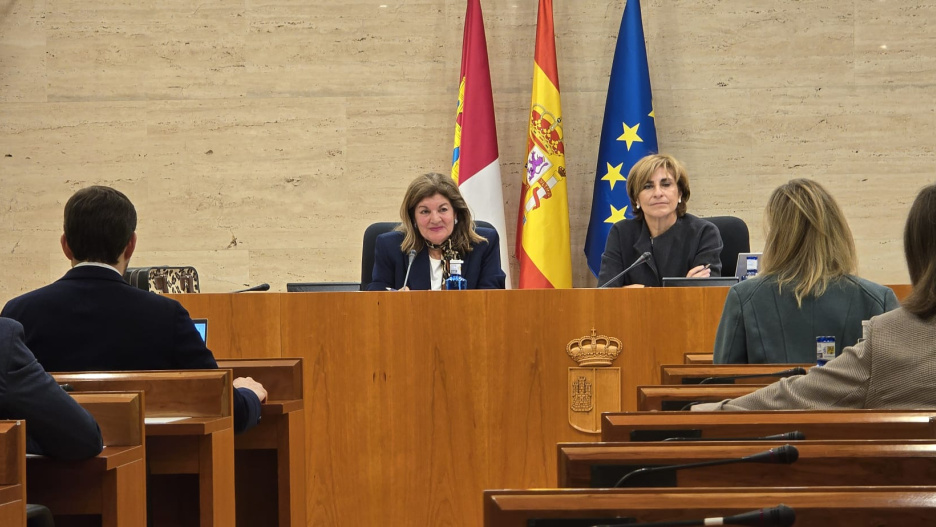 La directora general de CMM, Carmen Amores, ha comparecido en la comisión de control en la cortes regionales.