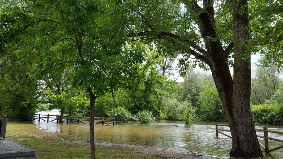 Río Alberche a su paso por Escalona (Toledo)