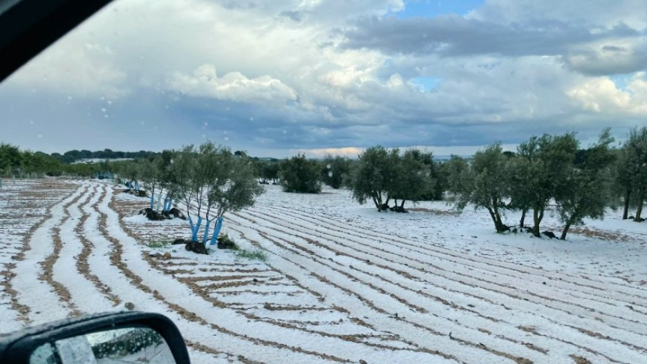 Campos blancos por el granizo en Tarazona de la Mancha (#Albacete).