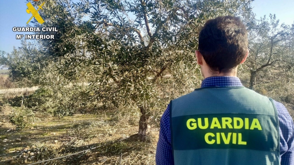 Agente del Equipo ROCA de la Guardia Civil
GUARDIA CIVIL
30/1/2024