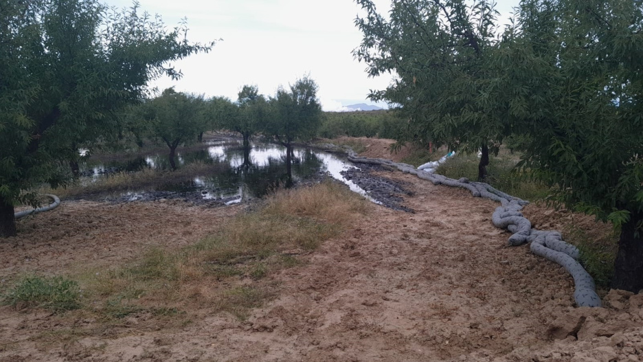 Continúan los trabajos para descontaminar el área afectada por la fuga de petróleo de un oleoducto, que asciende a 2 ha
REMITIDA / HANDOUT por AYUNTAMIENTO CALASPARRA
Fotografía remitida a medios de comunicación exclusivamente para ilustrar la noticia a la que hace referencia la imagen, y citando la procedencia de la imagen en la firma
23/5/2025