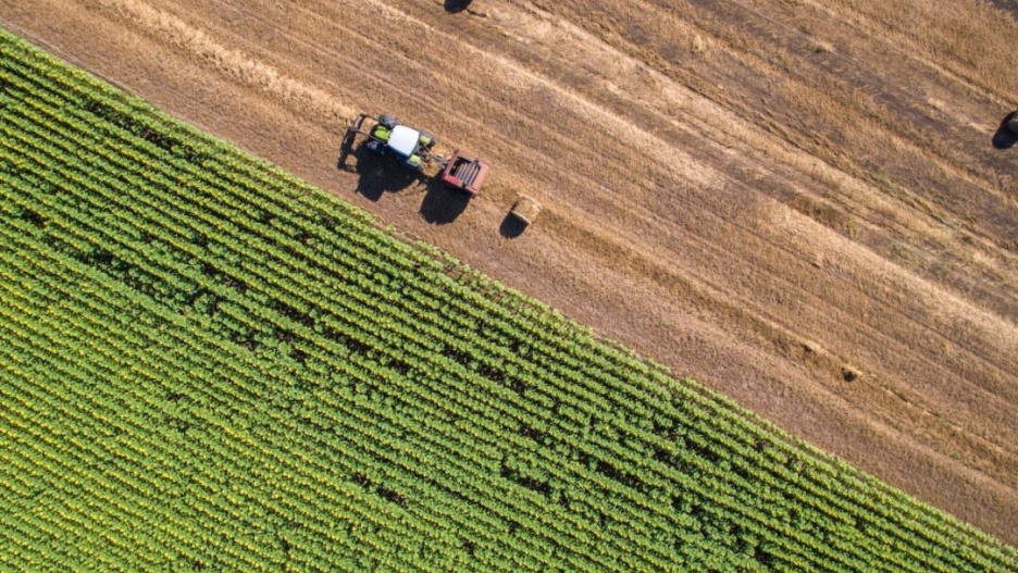 (Foto de ARCHIVO)
Agricultor en Extremadura

REMITIDA / HANDOUT por APAG EXTREMADURA ASAJA
Fotografía remitida a medios de comunicación exclusivamente para ilustrar la noticia a la que hace referencia la imagen, y citando la procedencia de la imagen en la firma
23/5/2025