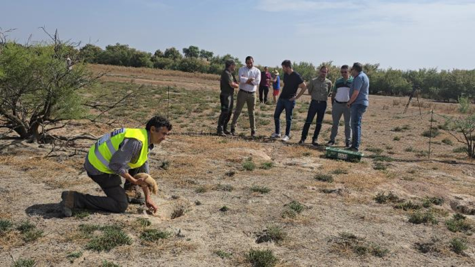 Medidas contra la sobreexplotación de conejos en Villafranca de los Caballeros (Toledo)