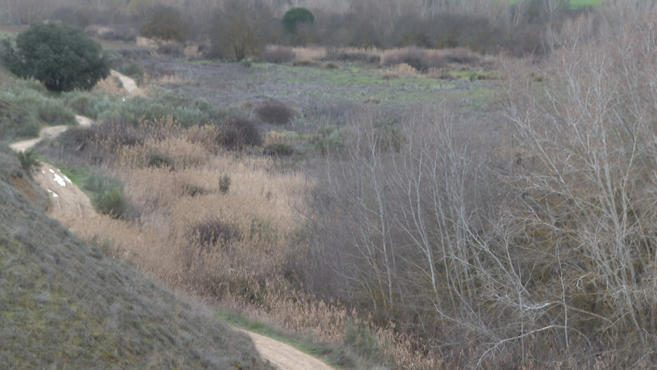 (Foto de ARCHIVO)
Paraje de Carranque (Toledo) donde podrían estar los restos mortales de Heidy Paz, la joven asesinada en agosto de 2018 por César Román, conocido como 'El Rey del Cachopo'.
EUROPA PRESS
07/3/2025