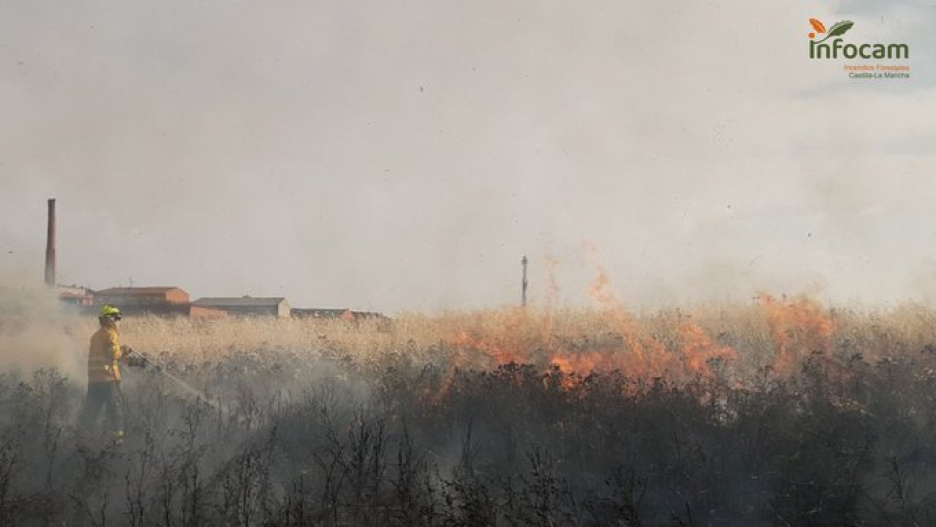 Incendio en Fuensalida en la tarde del 16 de junio