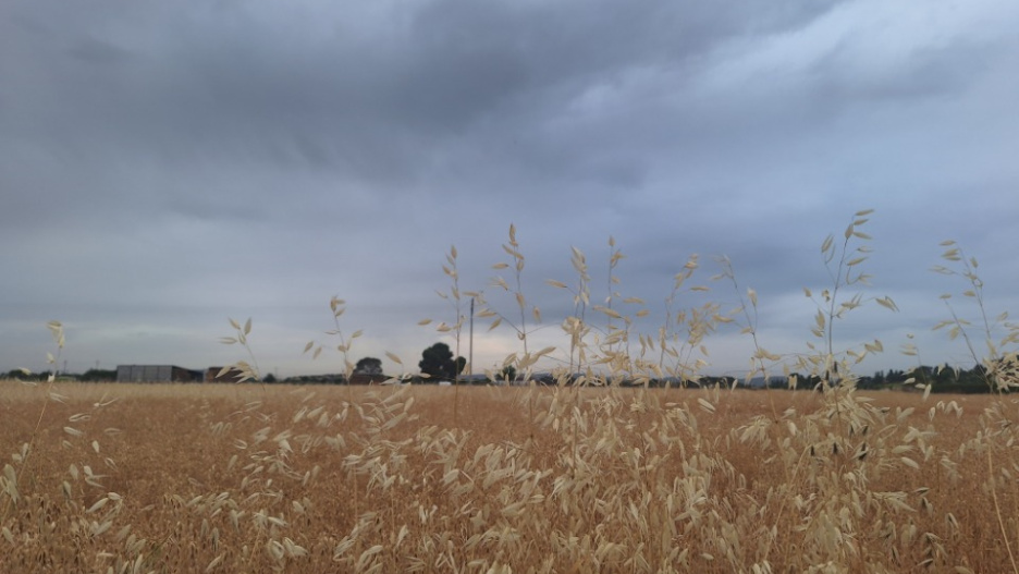 Este martes las tormentas vuelven a amenazar a toda la región.