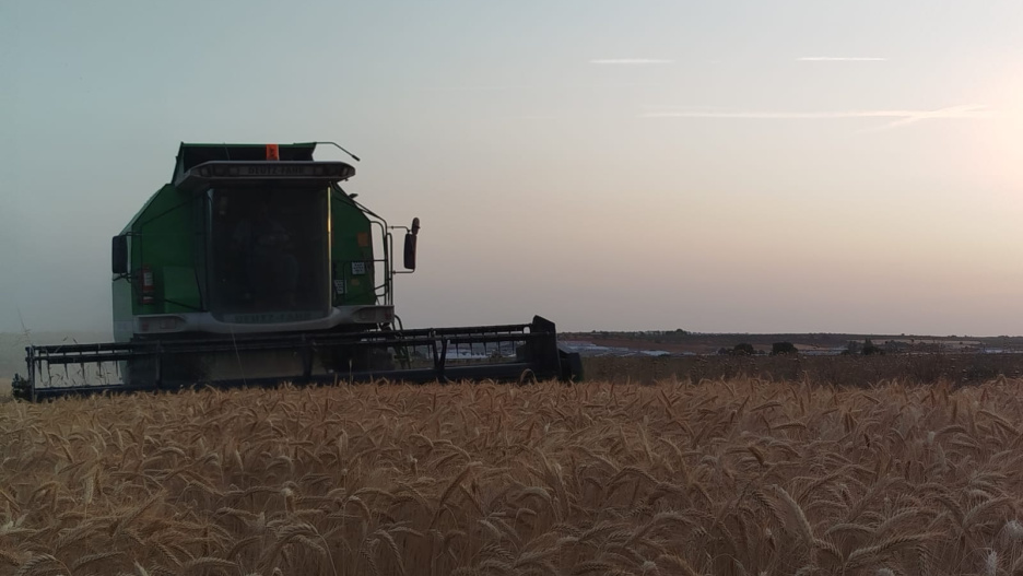 El calor vuelve a ser protagonista en Castilla-La Mancha.
