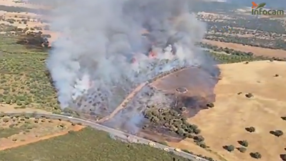 Incendio forestal en Luciana, Ciudad Real