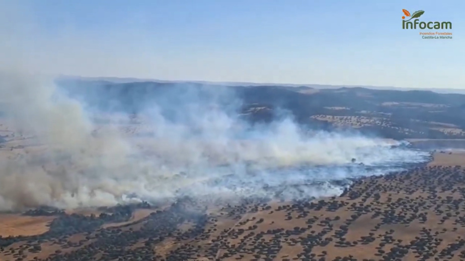 Incendio en Los Pozuelos de Calatrava.
REMITIDA / HANDOUT por PLAN INFOCAM
Fotografía remitida a medios de comunicación exclusivamente para ilustrar la noticia a la que hace referencia la imagen, y citando la procedencia de la imagen en la firma
18/7/2025