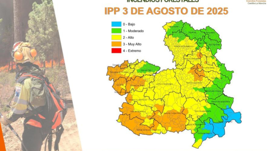 ipp DOMINGO