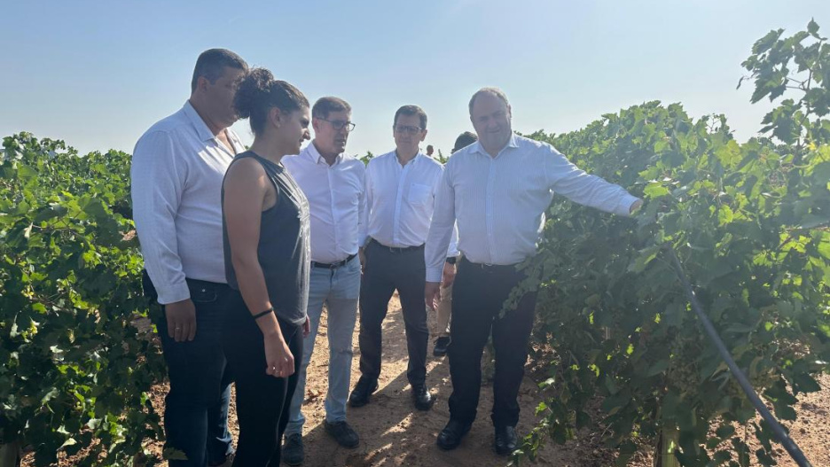 Cristina, agricultora de Villacañas, es una de las beneficiarias de estas ayudas.