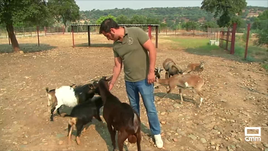 El Complejo Valdepusa, en San Martín de Pusa, ofrece sus instalaciones para acoger animales de explotaciones afectadas por los incendios.
