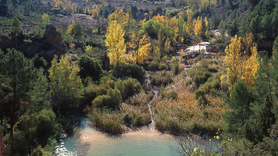 (Foto de ARCHIVO)
Reserva del valle del Cabriel.