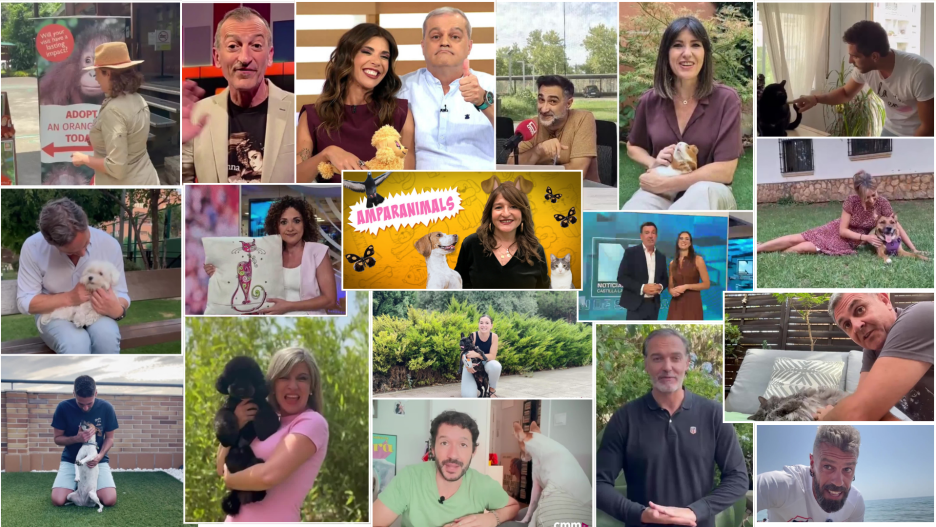 Los presentadores de CMM y sus mascotas te invitan a la Feria de Albacete con Amparanimals