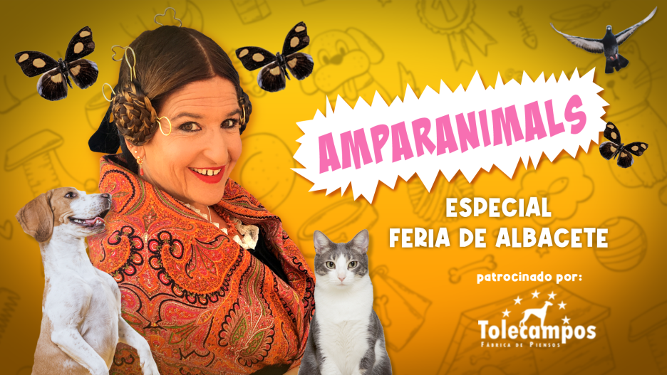 Amparanimals Foto Feria 2025 Tolecampos