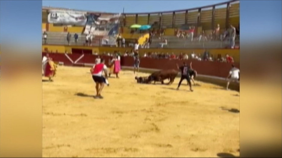 Un herido al ser corneado por un toro en Almodóvar del Campo (Ciudad Real) (18/09/25)