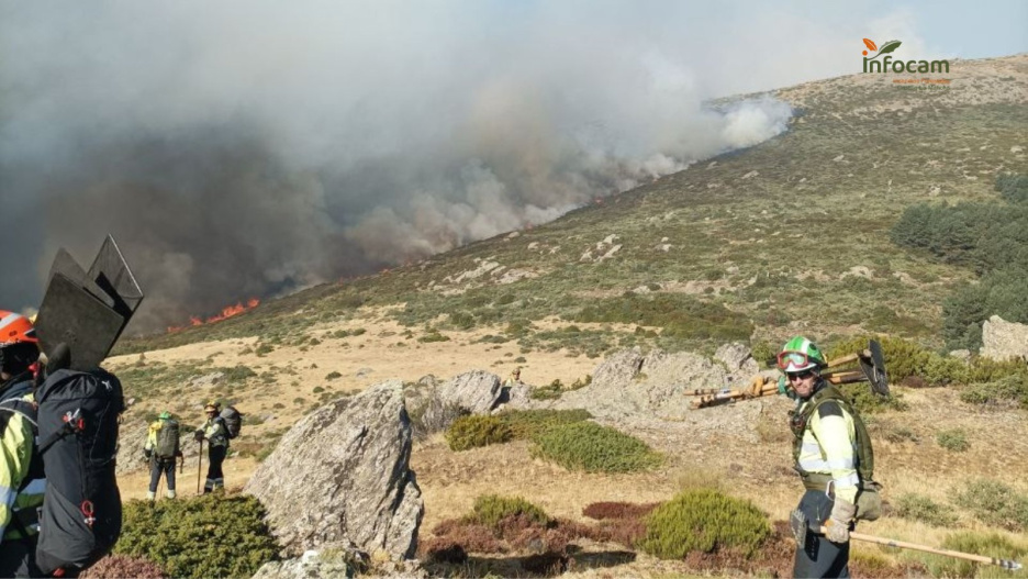 El pico del lobo es con sus 2274 metros de altitud, la montaña más elevada de la sierra de Ayllón y, como tal, de la provincia de Guadalajara y toda Castilla-La Mancha.