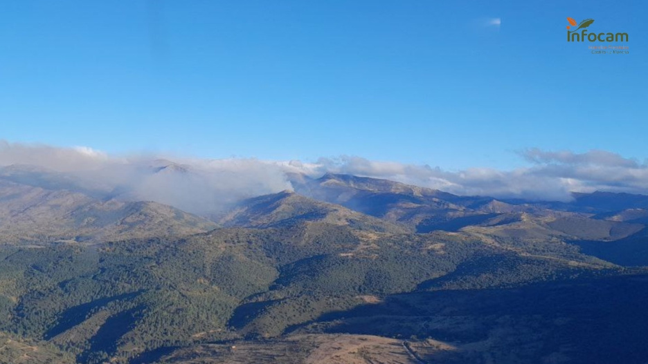Incendio forestal en Peñalba de la Sierra.

REMITIDA / HANDOUT por INFOCAM
Fotografía remitida a medios de comunicación exclusivamente para ilustrar la noticia a la que hace referencia la imagen, y citando la procedencia de la imagen en la firma
23/9/2025
