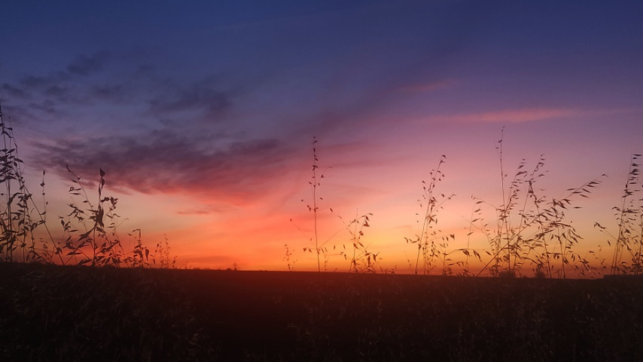 Imagen de Campo de Criptana