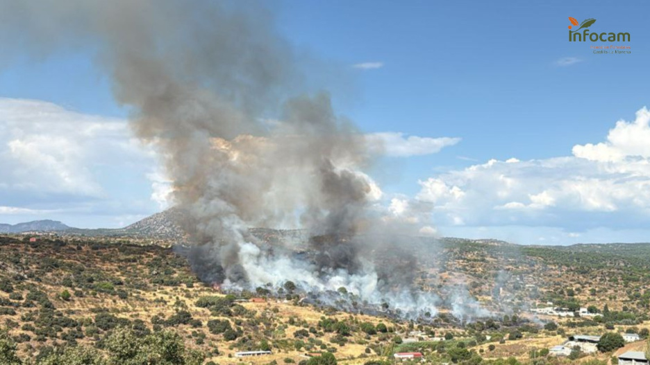 Incendio forestal en Almorox, Toledo (09/10/2025)