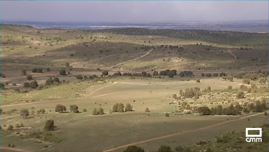 Campo de maniobras de Chinchilla.