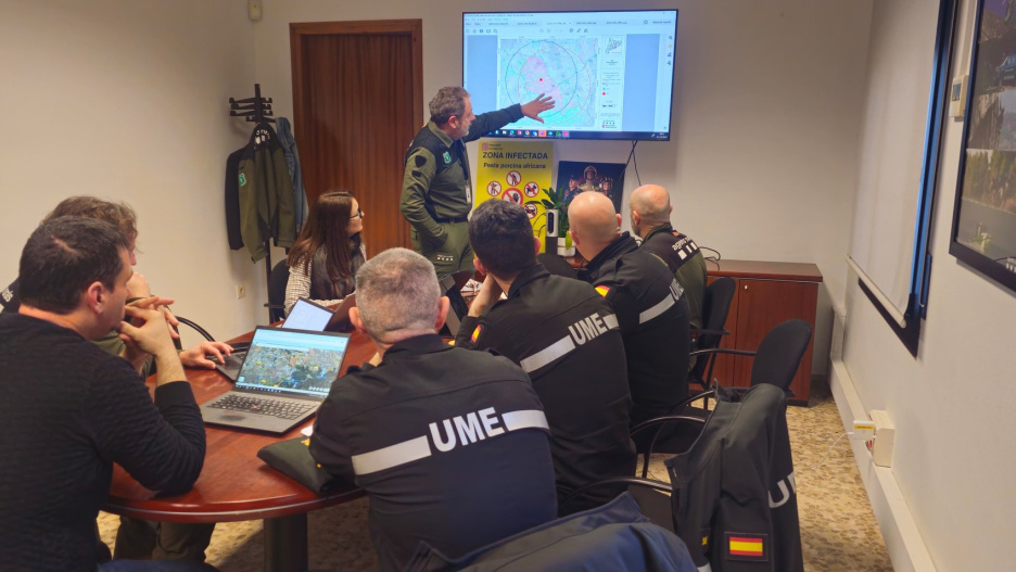 En las últimas horas se han hallado ocho cuerpos de jabalíes más en Cerdanyola del Vallès, junto al parque de Collserola, que se suman a los seis encontrados muertos con anterioridad, lo que ha llevado a la Generalitat a definir un perímetro desde el lugar del foco en el que se han restringido actividades y el acceso al medio natural. Estas medidas afectan, en distinto grado, a 76 municipios barceloneses
