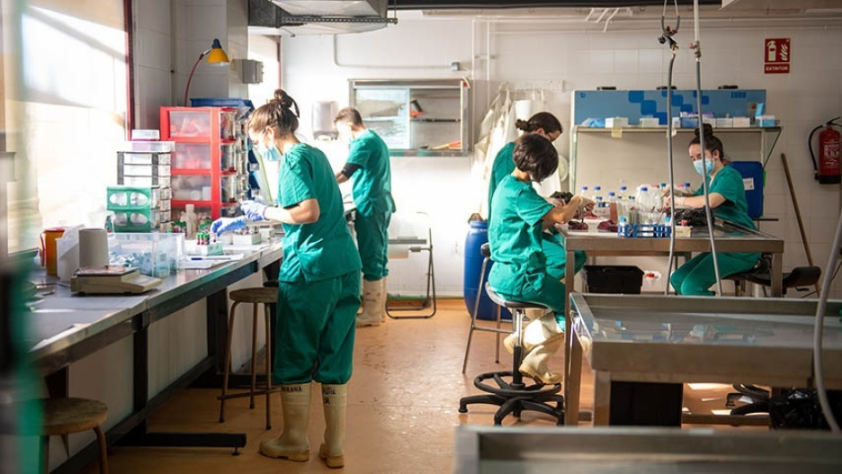 (Foto de ARCHIVO)
Centro IREC de la UCLM

REMITIDA / HANDOUT por UCLM
Fotografía remitida a medios de comunicación exclusivamente para ilustrar la noticia a la que hace referencia la imagen, y citando la procedencia de la imagen en la firma
28/11/2022