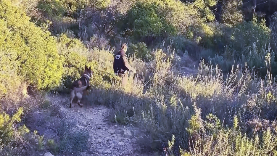 BARCELONA, 29/11/2025.- Vista del dispositivo de agentes rurales de Cataluña. Cuatro jabalíes han aparecido muertos por peste porcina africana (PPA) en la sierra de Collserola (Barcelona), en la misma zona en la que esta semana se encontraron los cuerpos de los dos primeros animales fallecidos por este brote. Este brote de peste porcina, el primero que se detecta en España desde 1994, ha llevado al Departamento a crear un perímetro de seis kilómetros en torno al lugar en el que se encontraron los animales, al que se ha prohibido el acceso excepto para los residentes, y un segundo de veinte kilómetros, en el que se han prohibido las actividades al aire libre organizadas, como excursiones a pie o en bicicleta. EFE/Agentes rurales de Cataluña -SOLO USO EDITORIAL/SOLO DISPONIBLE PARA ILUSTRAR LA NOTICIA QUE ACOMPAÑA (CRÉDITO OBLIGATORIO)-