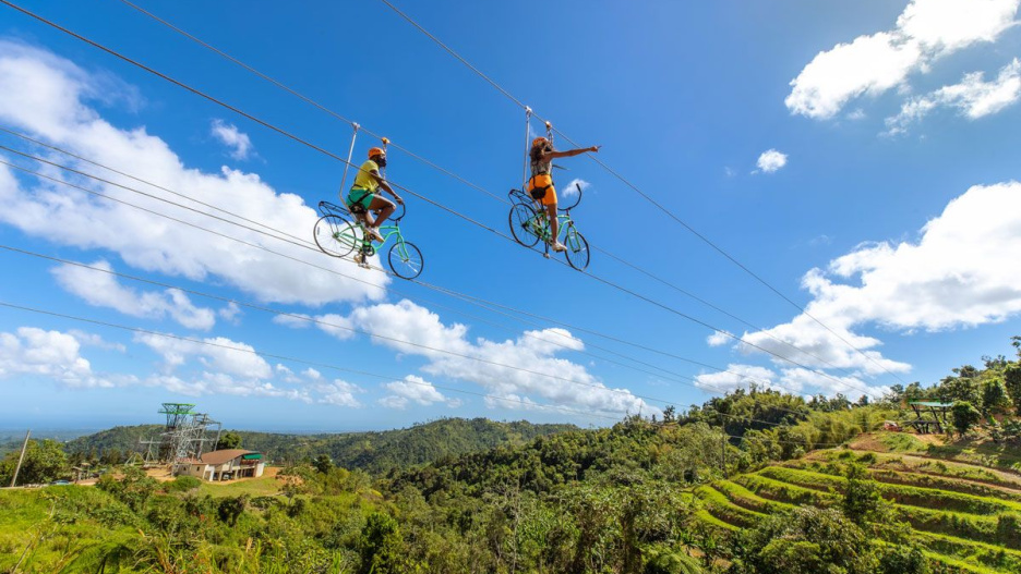 ToroVerde en Puerto Rico.