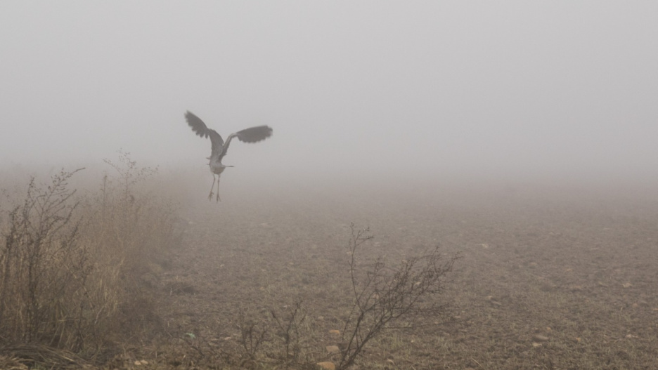 Nieblas matinales en  El Casar Guadalajara.