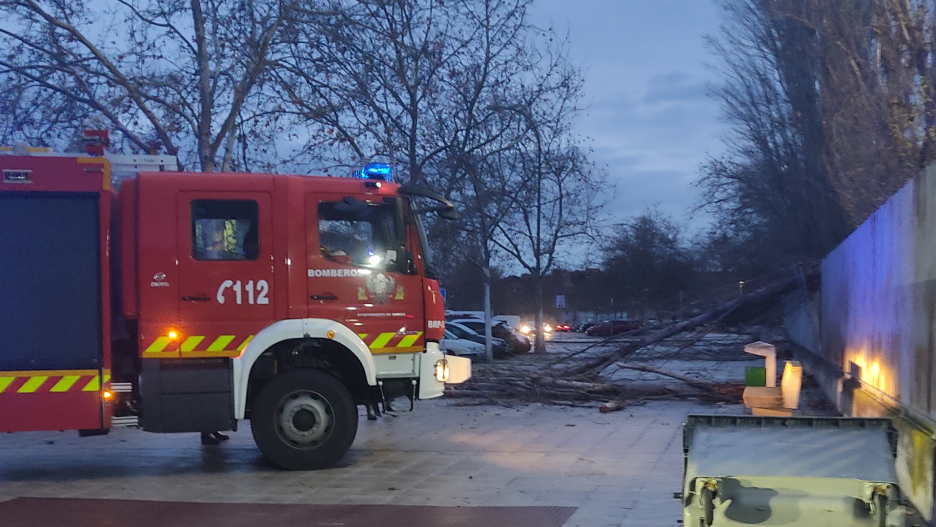 Bomberos con árboles caidos en Toledo por viento