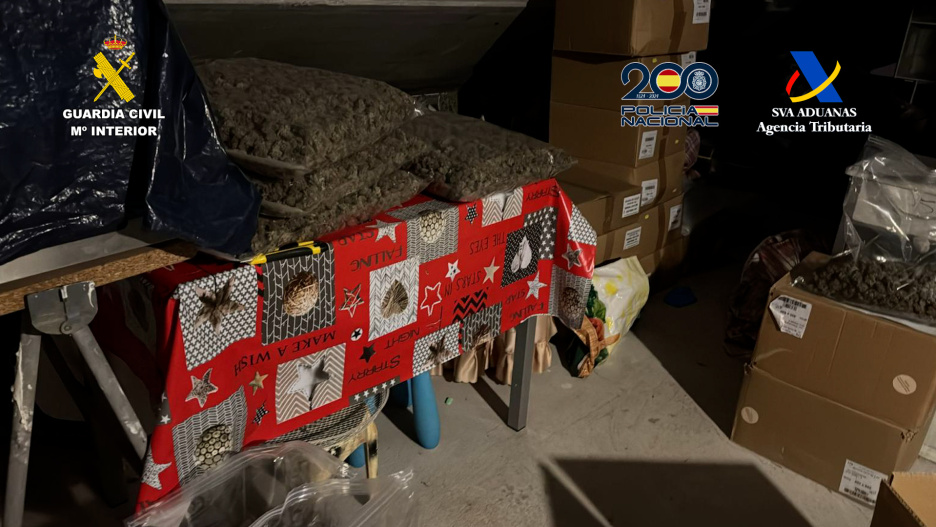 Parte de la droga incautada en esta operación.