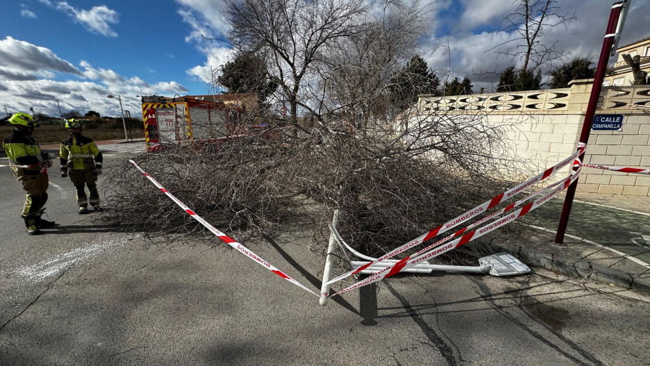 Una de las incidencias causadas por las fuertes rachas de viento que se registraron en Albacete este miércoles.

REMITIDA / HANDOUT por AYUNTAMIENTO
Fotografía remitida a medios de comunicación exclusivamente para ilustrar la noticia a la que hace referencia la imagen, y citando la procedencia de la imagen en la firma
28/1/2026