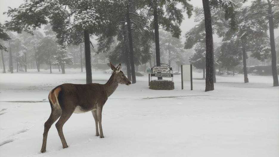 Imagen de la entrada del aparcamiento de la Ciudad Encantada este 4 de febrero de 2026