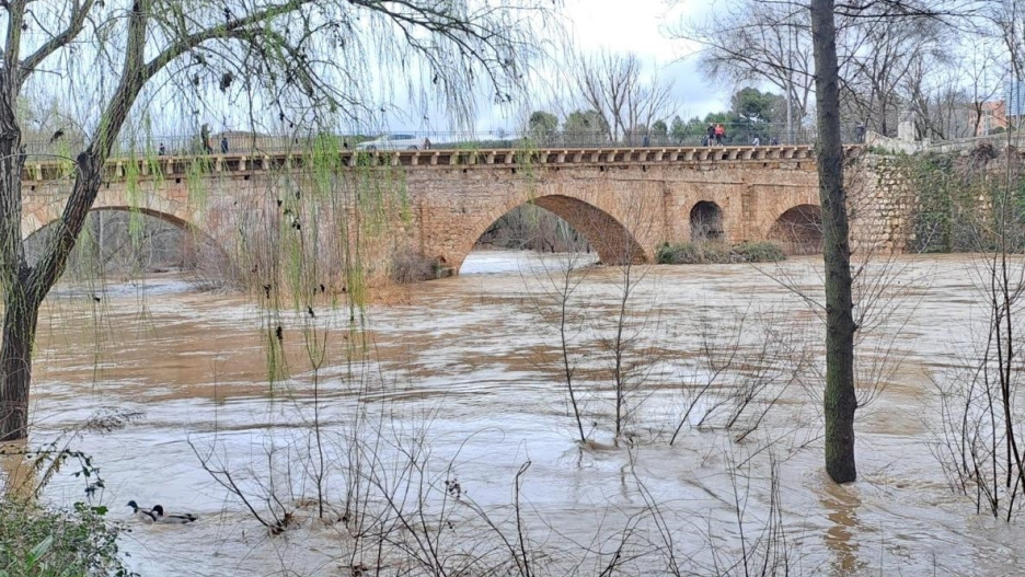 Crecida del río Henares.

REMITIDA / HANDOUT por AYUNTAMIENTO
Fotografía remitida a medios de comunicación exclusivamente para ilustrar la noticia a la que hace referencia la imagen, y citando la procedencia de la imagen en la firma
02/2/2026
