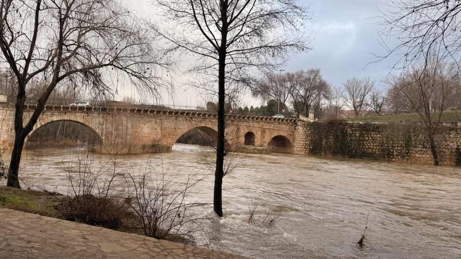 Río Henares en Guadalajara este mes de febrero