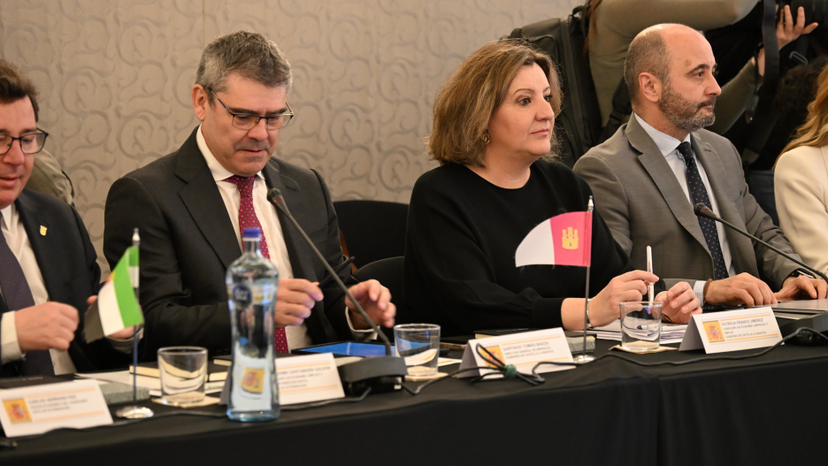 La consejera de Economía durante la celebración del Pleno del Consejo Interterritorial de Internacionalización.