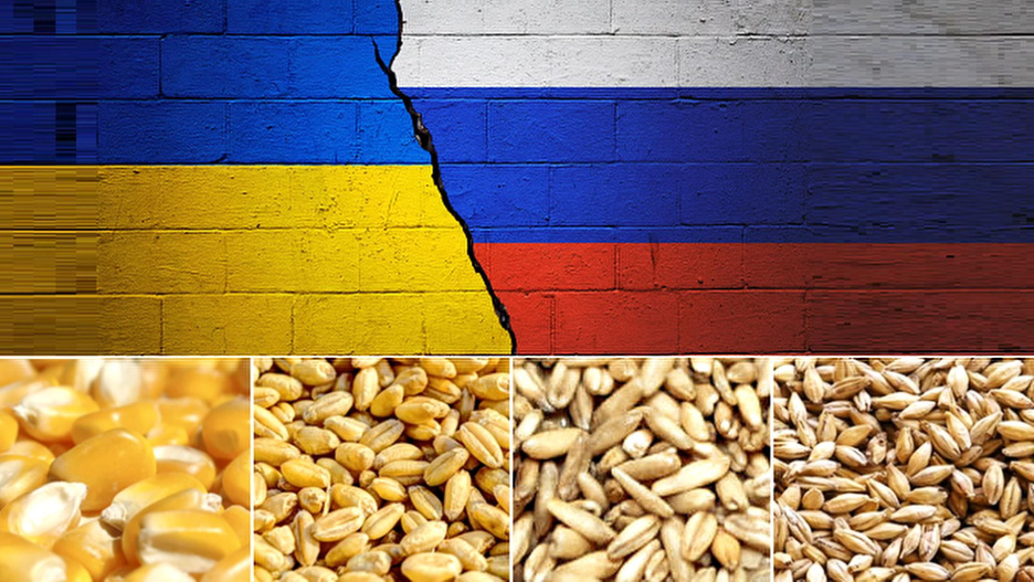 Cuatro años de guerra en Ucrania han afectado, entre otras cosas, al mercado del cereal