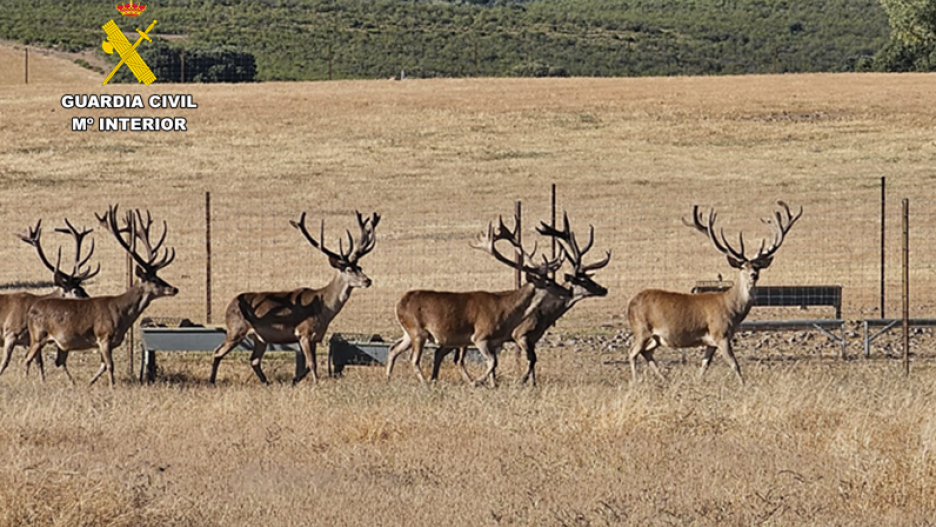 Imagen de la granja cinegética de Ciudad Real