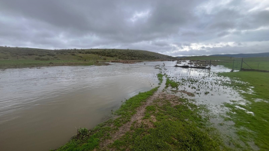 Daños en un campo de cultivo en Almodóvar.

REMITIDA / HANDOUT por ASAJA
Fotografía remitida a medios de comunicación exclusivamente para ilustrar la noticia a la que hace referencia la imagen, y citando la procedencia de la imagen en la firma
11/2/2026