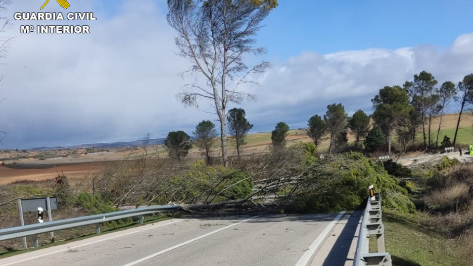 La carretera estaba cortada porque cayó un árbol.