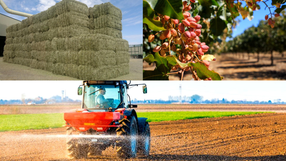 Alfalfa deshidratada (arriba izda.)/Pistacho (arriba dcha.)/ Fertilizando campo (abajo)