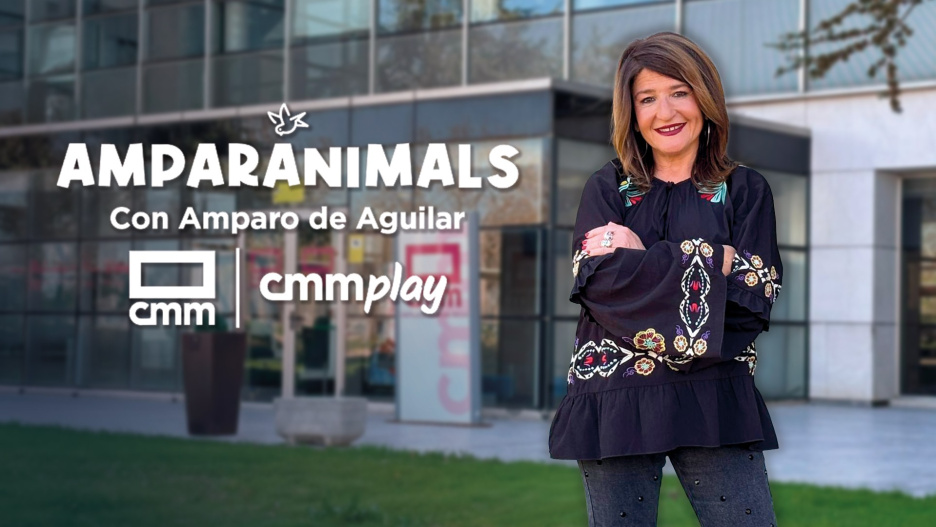 CMM estrena este jueves 'Amparanimals', el programa de servicio público dedicado al mundo animals