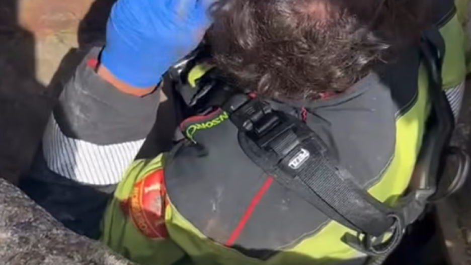 Imagen de la intervención realizada este 18 de abril de 2026 en Turleque (Toledo)