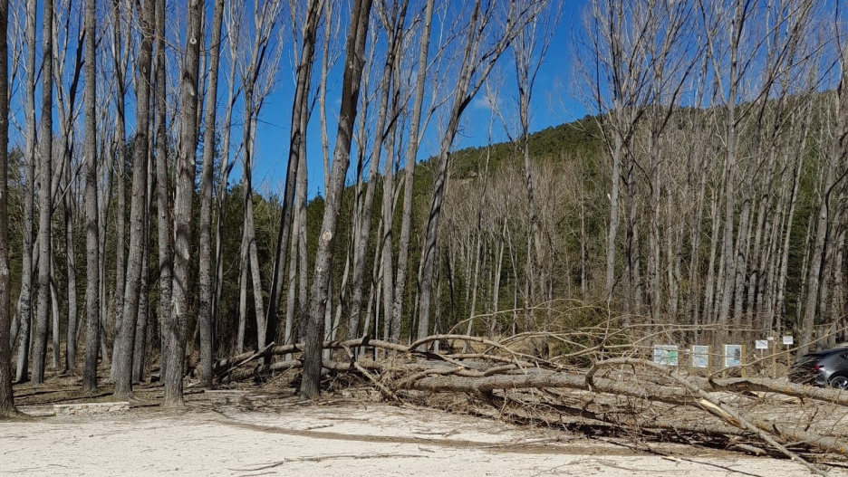 El acceso al Monumento Natural del Nacimiento del Río Cuervo permanecerá cerrado temporalmente por trabajos de seguridad.

REMITIDA / HANDOUT por JCCM
Fotografía remitida a medios de comunicación exclusivamente para ilustrar la noticia a la que hace referencia la imagen, y citando la procedencia de la imagen en la firma
08/5/2026