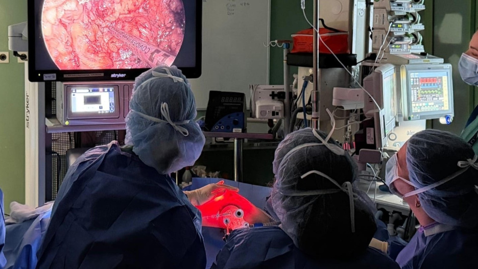 Mastectomía por endoscopia realizada en el Hospital de La Candelaria

REMITIDA / HANDOUT por HOSPITAL DE LA CANDELARIA
Fotografía remitida a medios de comunicación exclusivamente para ilustrar la noticia a la que hace referencia la imagen, y citando la procedencia de la imagen en la firma
20/5/2026