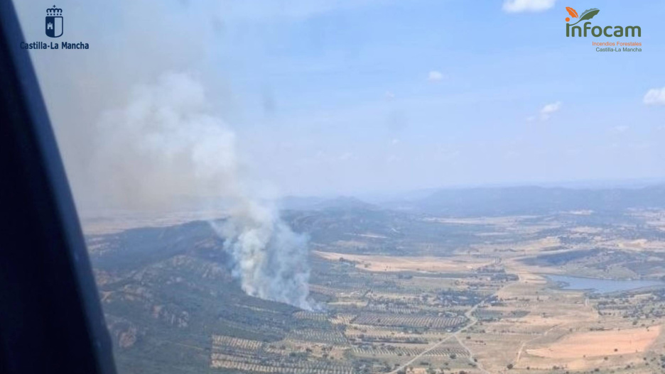 Incendio forestal en Brazatortas (Ciudad Real)
